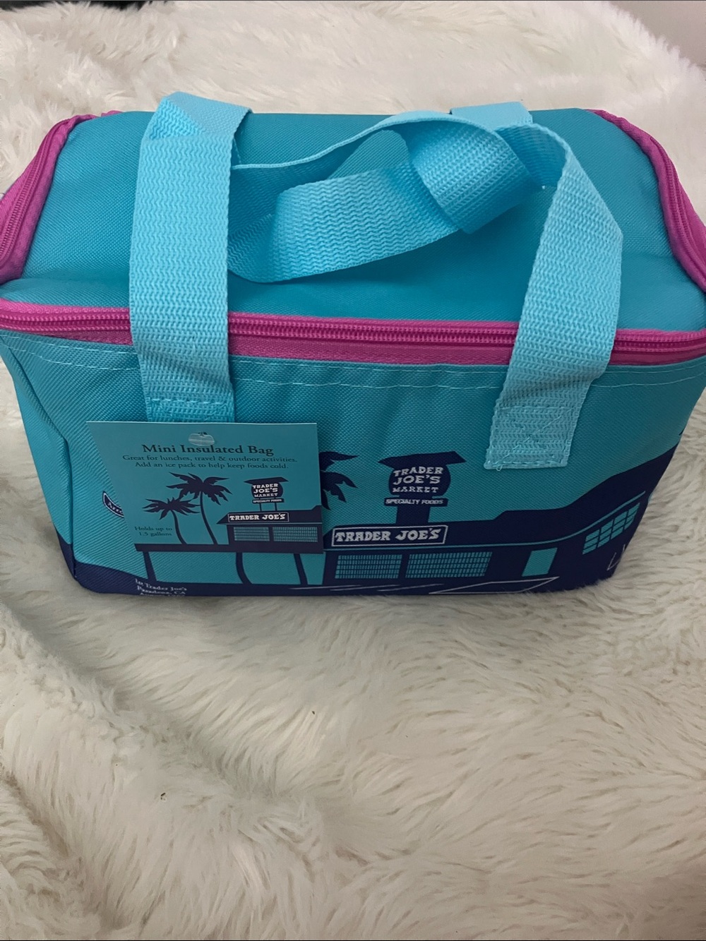 Trader Joe's Teal Insulated Lunch Bag with Pink Zipper